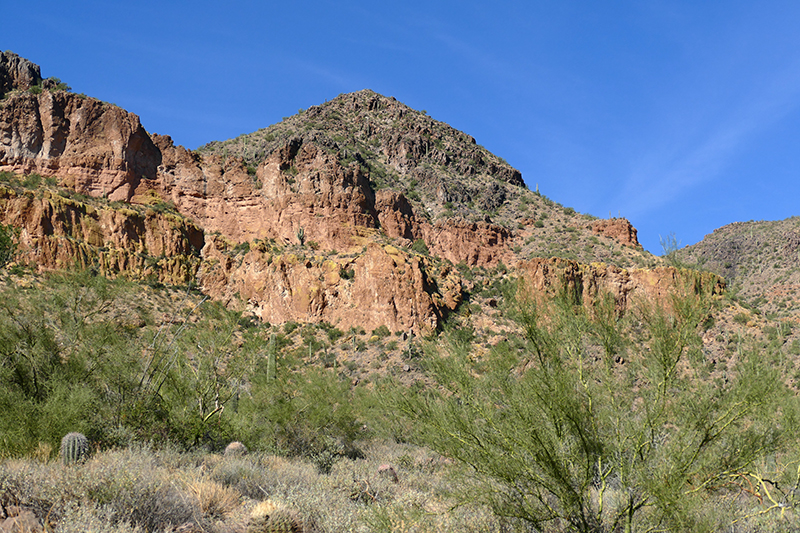 Pass Mountain Trail [Goldfield Mountains]