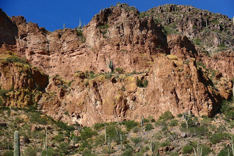 Pass Mountain Trail [Goldfield Mountains]