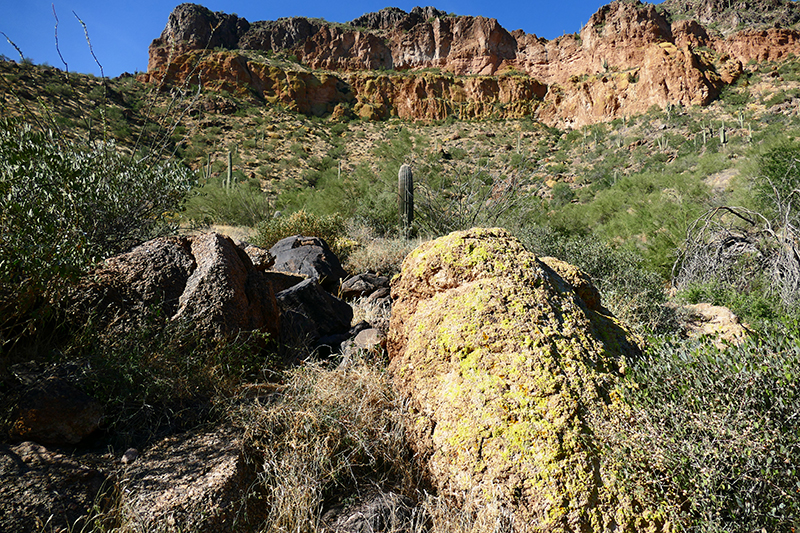 Pass Mountain Trail [Goldfield Mountains]