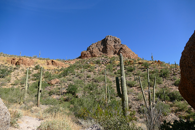 Pass Mountain Trail [Goldfield Mountains]