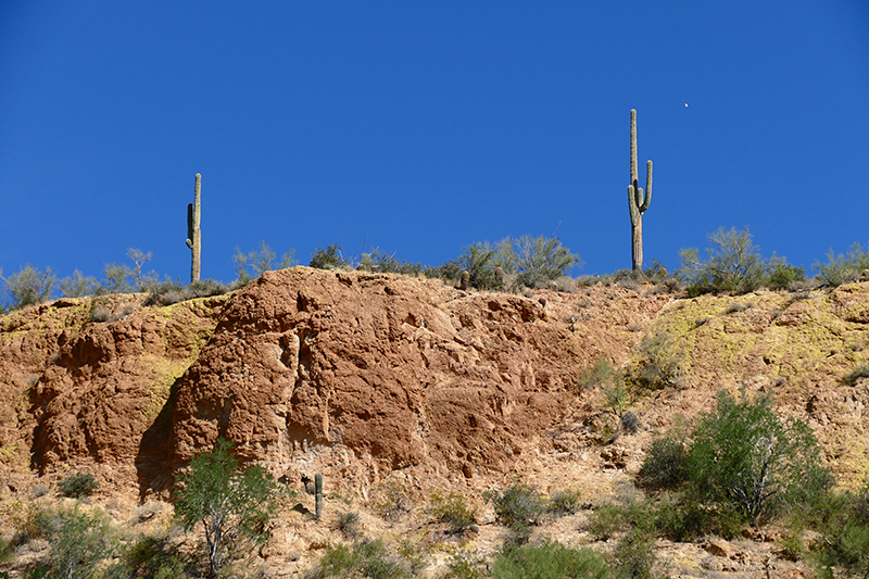 Pass Mountain Trail [Goldfield Mountains]