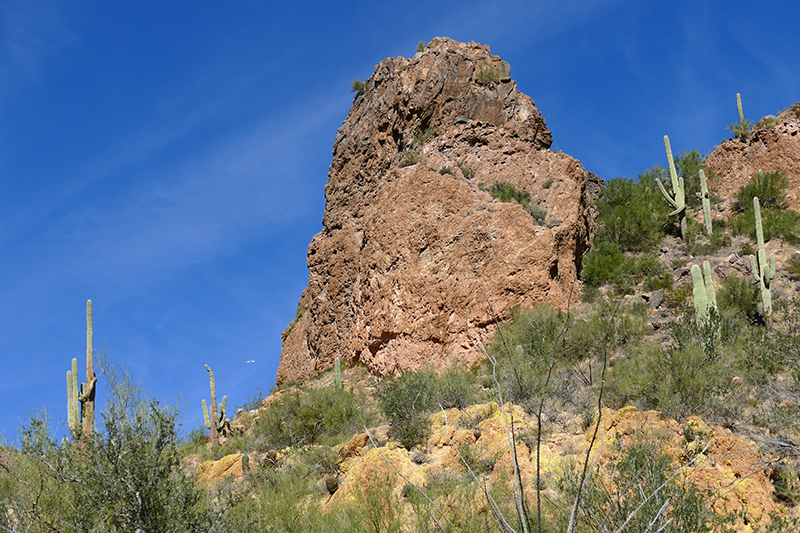 Pass Mountain Trail [Goldfield Mountains]