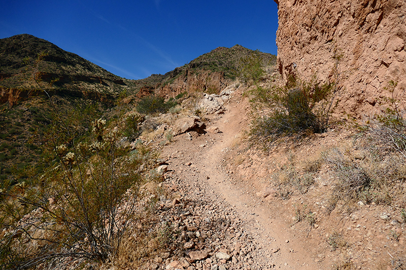 Pass Mountain Trail [Goldfield Mountains]