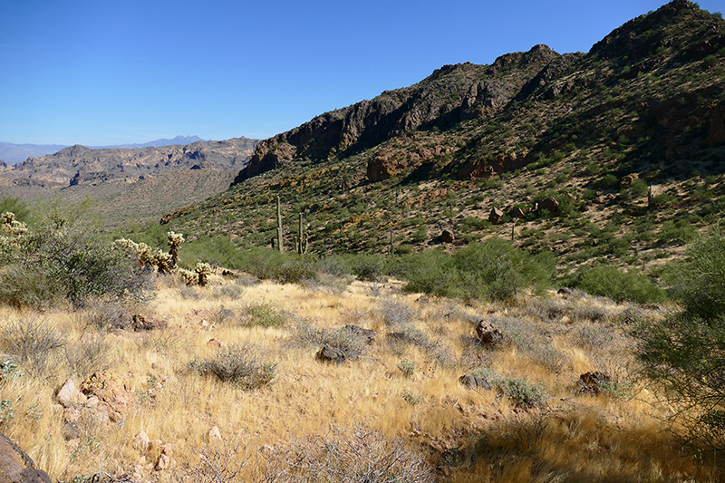 Pass Mountain Trail [Goldfield Mountains]