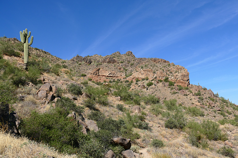 Pass Mountain Trail [Goldfield Mountains]