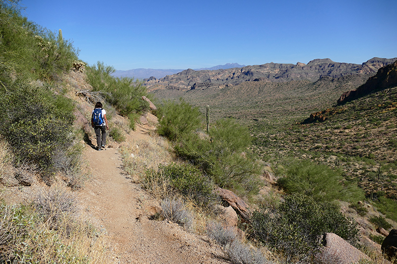 Pass Mountain Trail [Usery Mountain Regional Park]