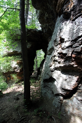 Pedestal Rocks und Arch Cluster