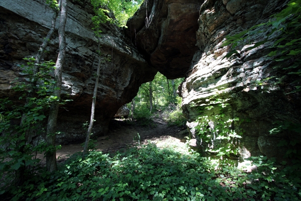 Pedestal Rocks und Arch Cluster