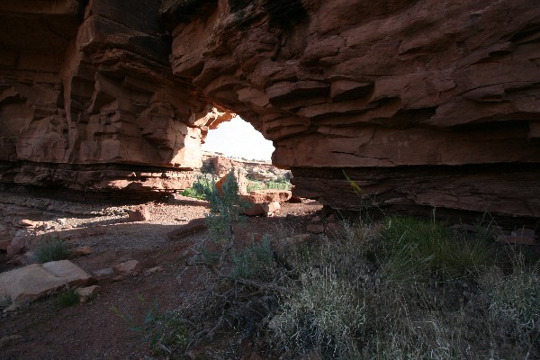 Peek-a-Boo Window