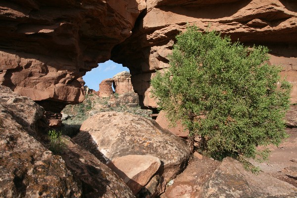 Peek-a-Boo Window