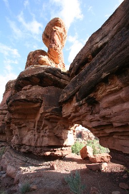 Peek-a-Boo Window