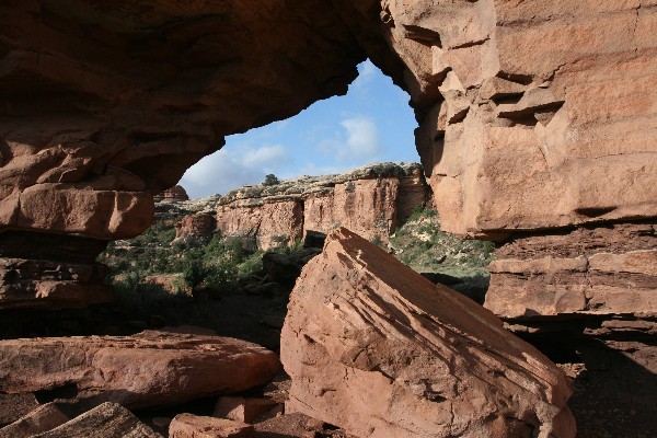 Peek-a-Boo Window