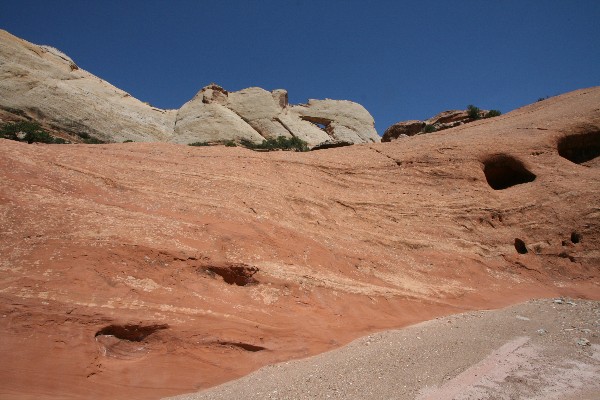 Peek-a-Boo Arch