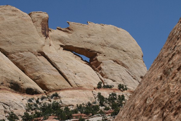 Peek-a-Boo Arch