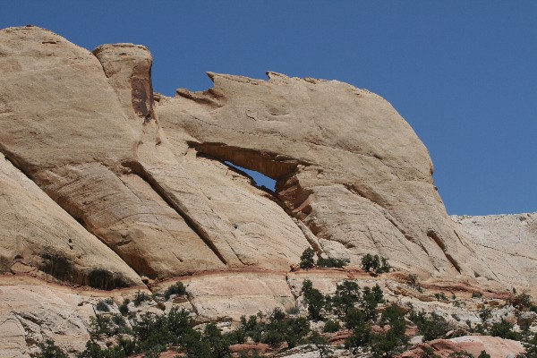 Peek-a-Boo Arch