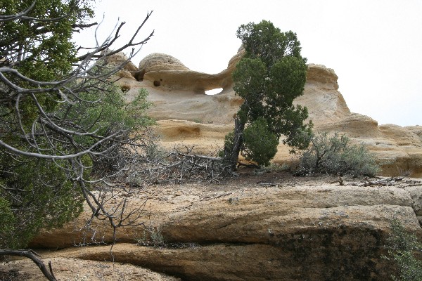 Peephole Arch