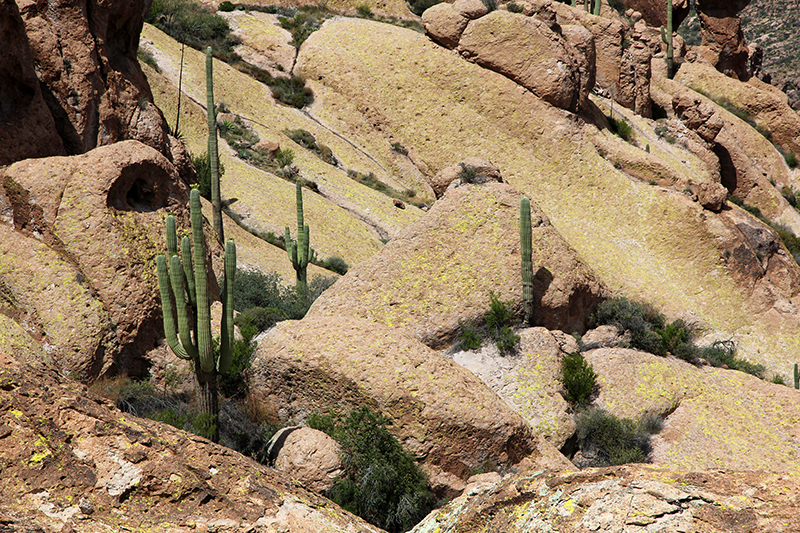 Peralta Canyon Boulder Canyon Weavers Needle