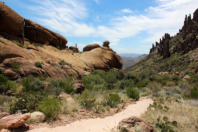 Fremont Saddle