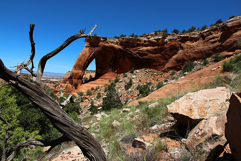 Perseverance Arch Jones Canyon