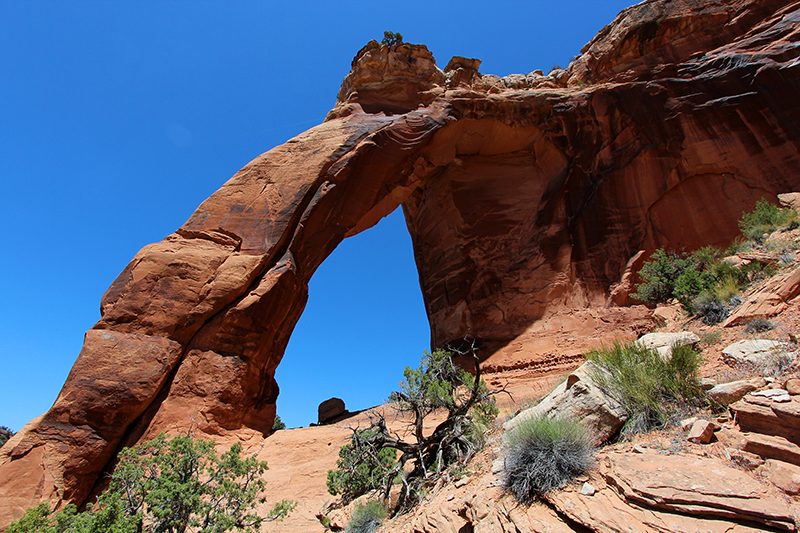 Perseverance Arch Jones Canyon