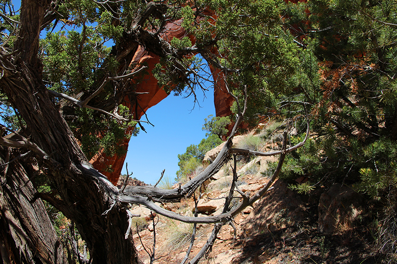 Perseverance Arch Jones Canyon