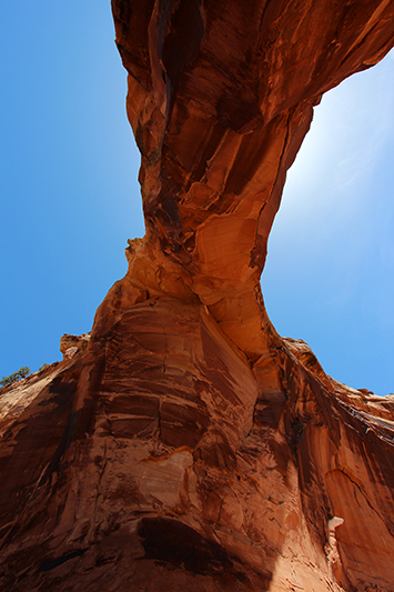 Perseverance Arch Jones Canyon