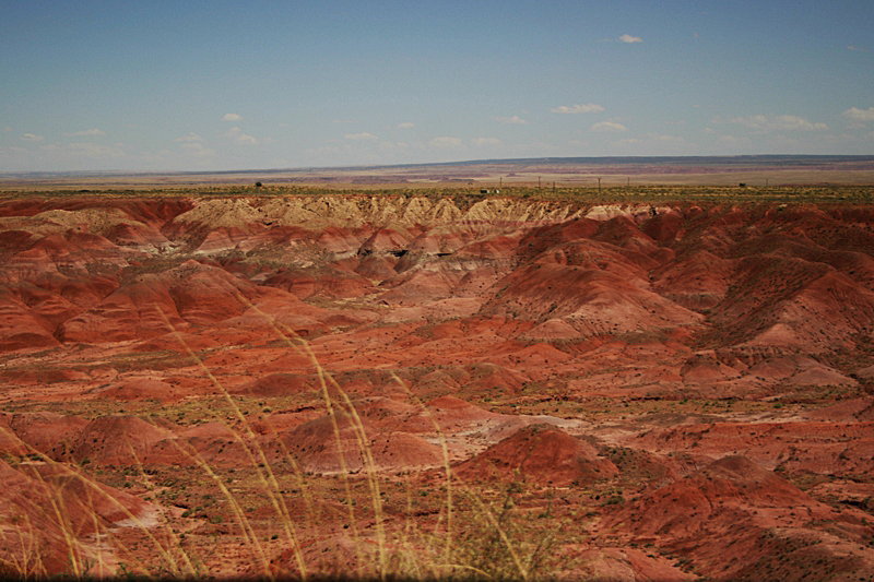 Petrified Forest National Park