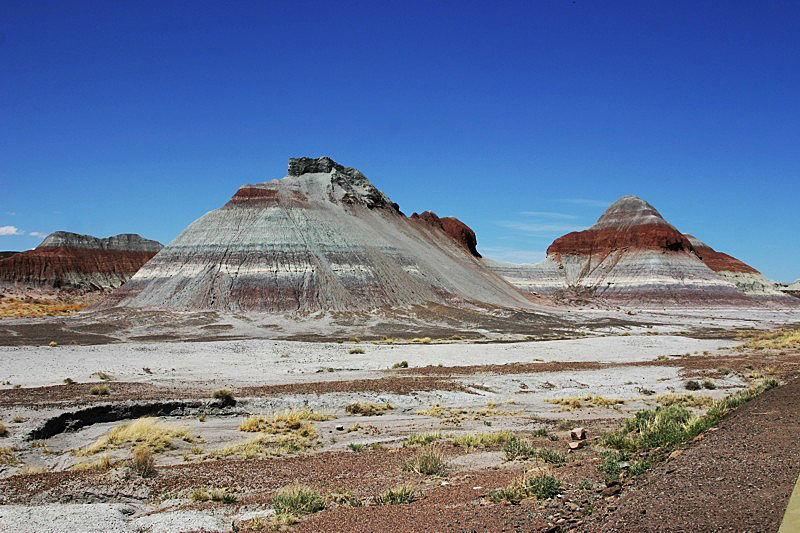 Petrified Forest National Park