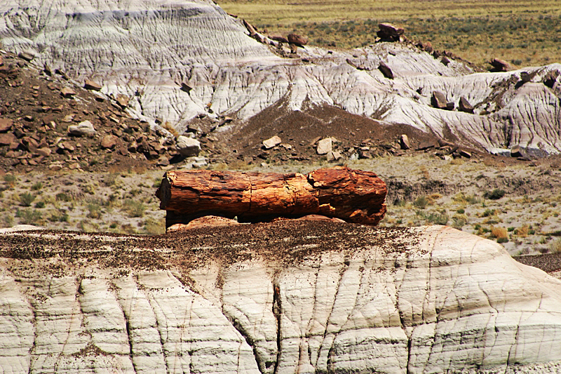 Petrified Forest National Park