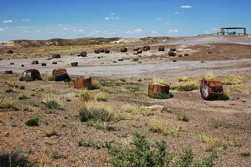 Petrified Forest National Park