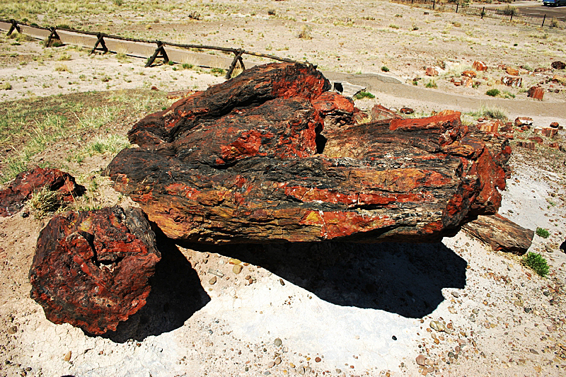 Petrified Forest National Park