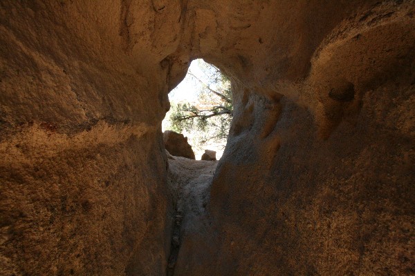 Petroglyph Arch