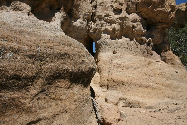 Petroglyph Arch