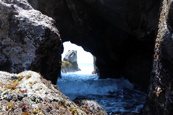 Pfeiffer Beach Arch II