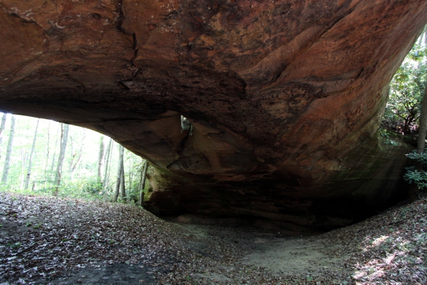 Phalanx Arch