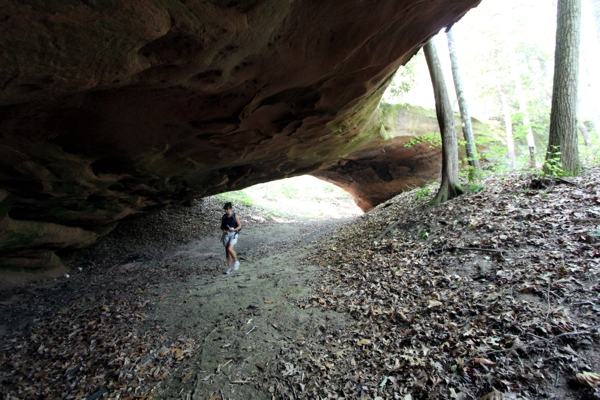 Phalanx Arch