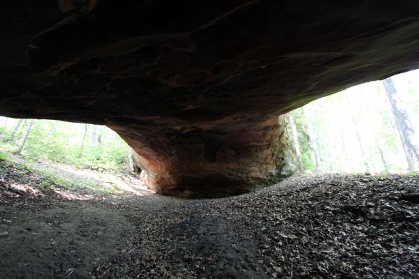 Phalanx Arch