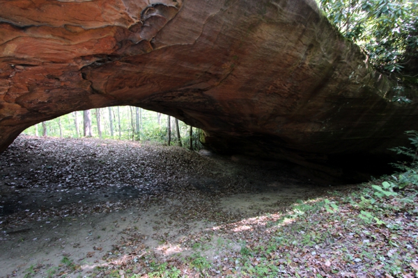 Phalanx Arch