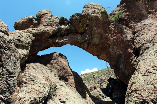 Phoenix Arch