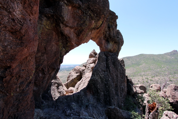 Phoenix Arch