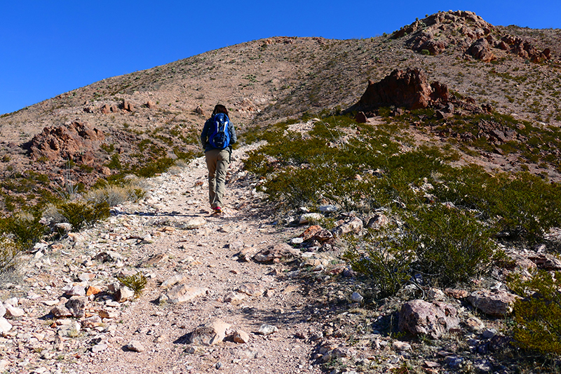 Picacho Mountain [Las Cruces]