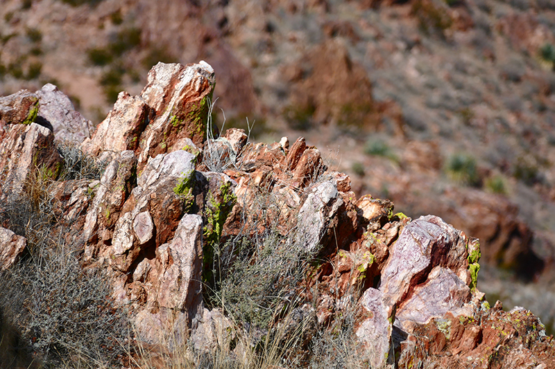 Picacho Mountain und Box Canyon [Las Cruces]