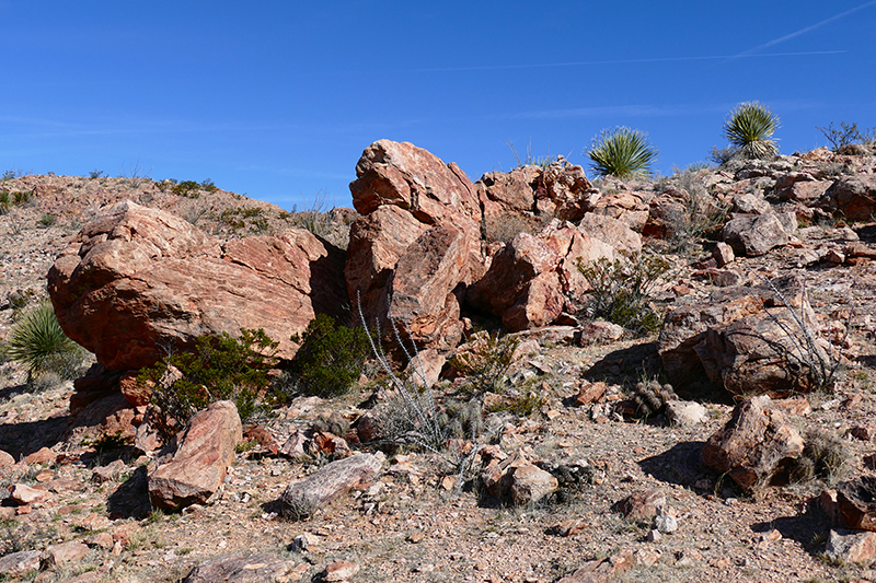 Picacho Mountain und Box Canyon [Las Cruces]