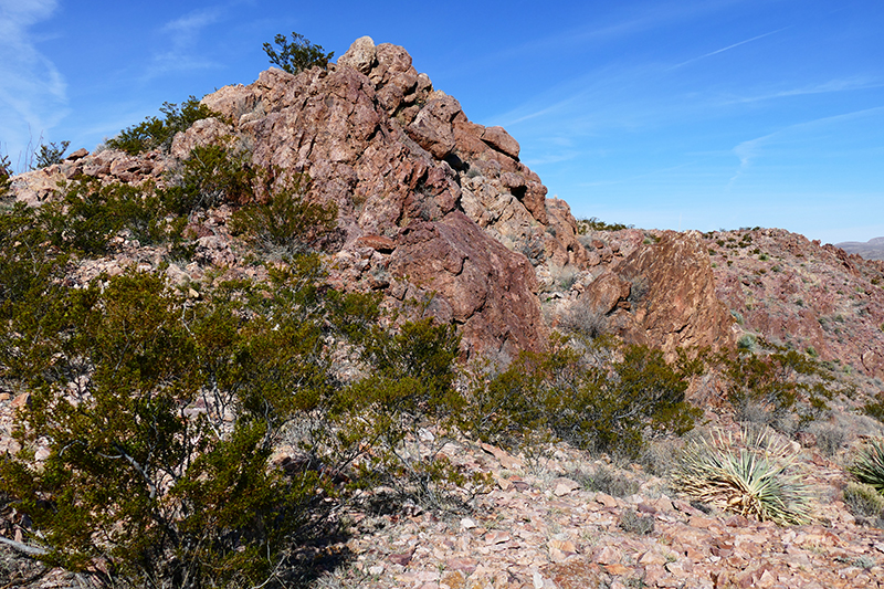 Picacho Mountain [Las Cruces]