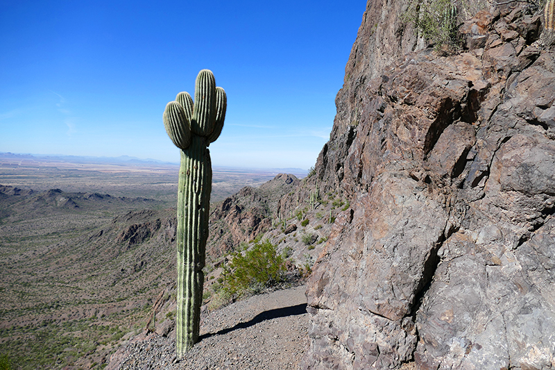 Picacho Peak - Hunter Trail [Picacho Peak State Park]