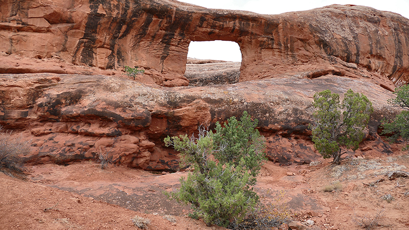 Picture Frame Arch [Behind the Rocks]