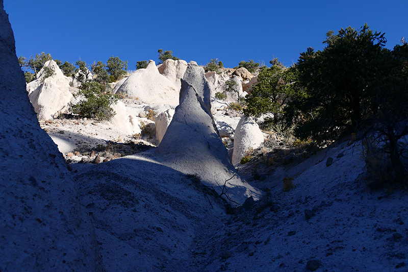 Pine Park [Dixie National Forest]