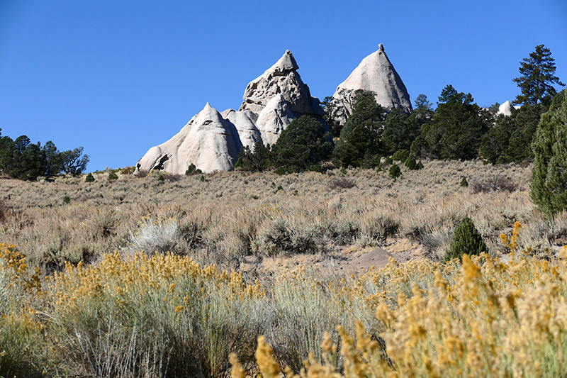 Pine Park [Dixie National Forest]