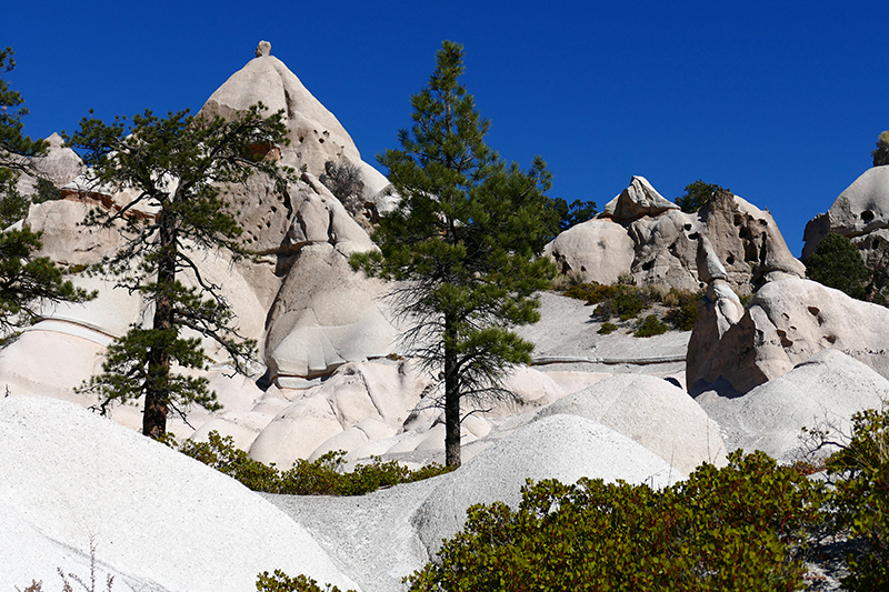 Pine Park [Dixie National Forest]