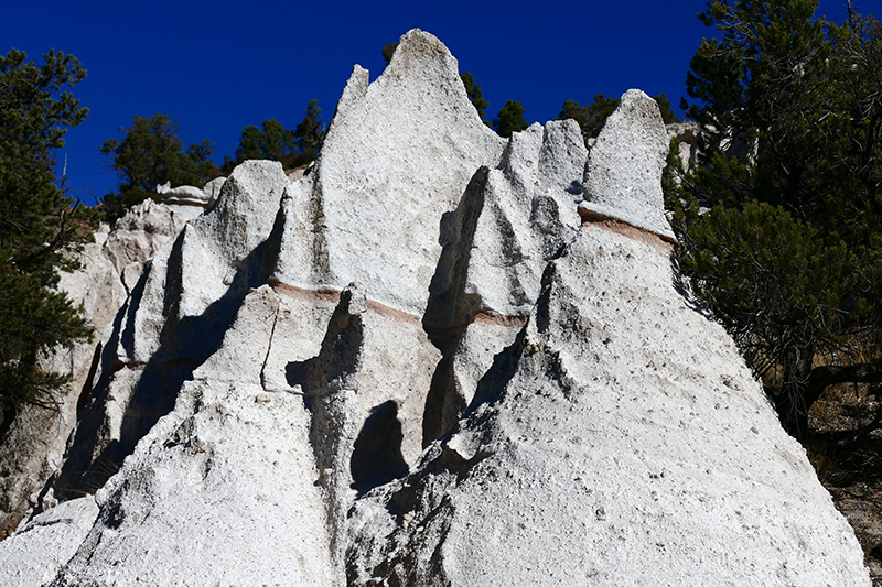 Pine Park [Dixie National Forest]